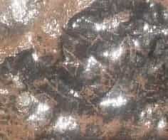 الشرعي موكل 10